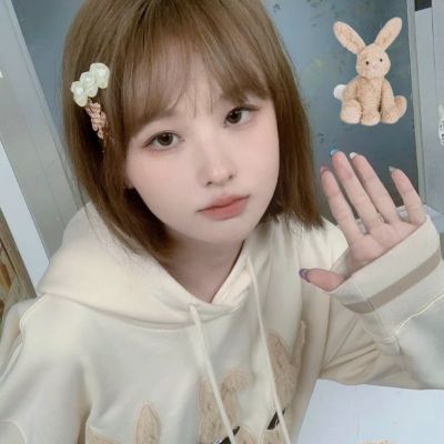 鸟人助手旧版下载