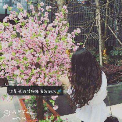 果盘虎啸龙吟bt版下载